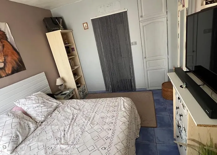 Le T2 Bord De * Narbona